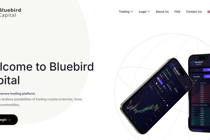 Bluebird Capital отзывы. Это развод?