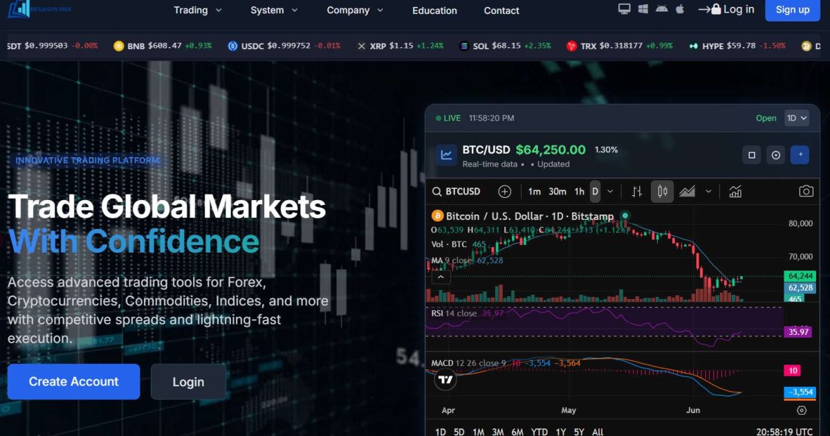 Hexagon Sigs отзывы. Это развод?
