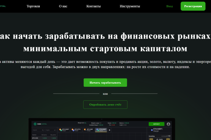 Rise Capital отзывы. Надувательство?