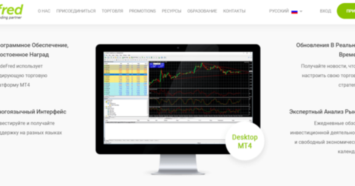 Tradefred полный обзор и отзывы